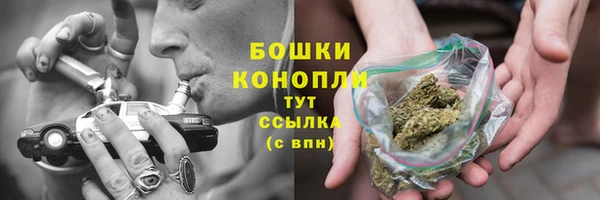 стафф Новодвинск