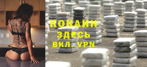стафф Новодвинск