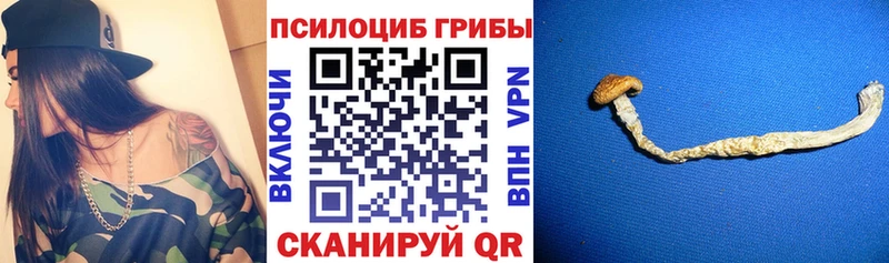 Псилоцибиновые грибы Magic Shrooms  Сафоново 